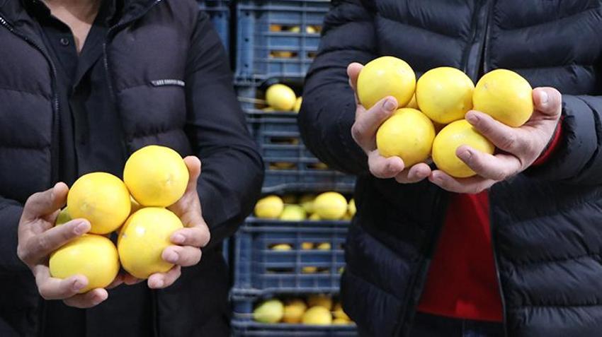 Limonda hal ve market fiyatında makas 10 kat açıldı