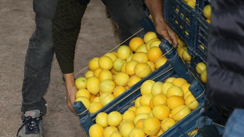 Limonda hal ve market fiyatında makas 10 kat açıldı