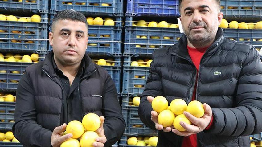 Limonda hal ve market fiyatında makas 10 kat açıldı