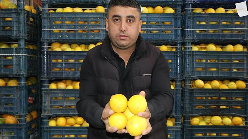 Limonda hal ve market fiyatında makas 10 kat açıldı