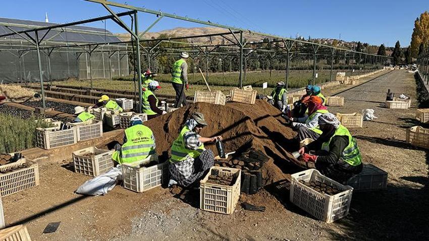 Elazığ'da yetiştirilen fidanlar Türkiye'ye nefes oluyor