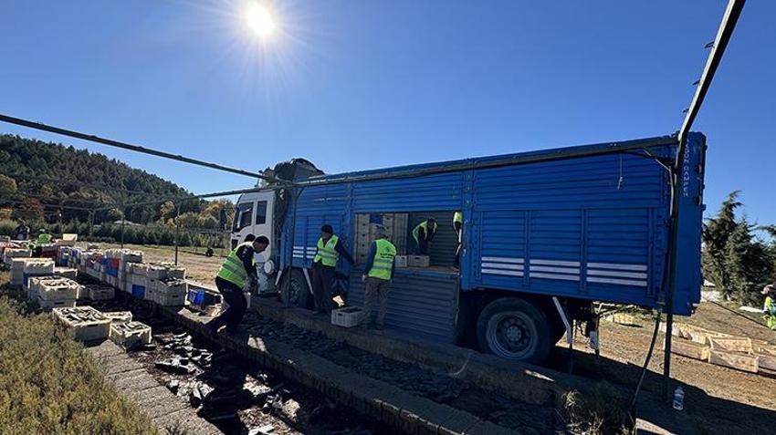 Elazığ'da yetiştirilen fidanlar Türkiye'ye nefes oluyor