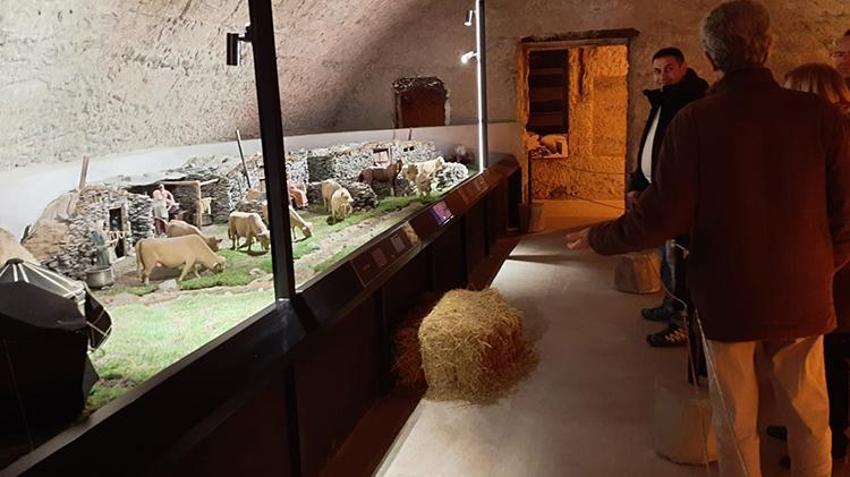 Türkiye'de sadece Kars'ta bulunuyor! Eşi, benzeri yok, ziyaretçi akınına uğruyor