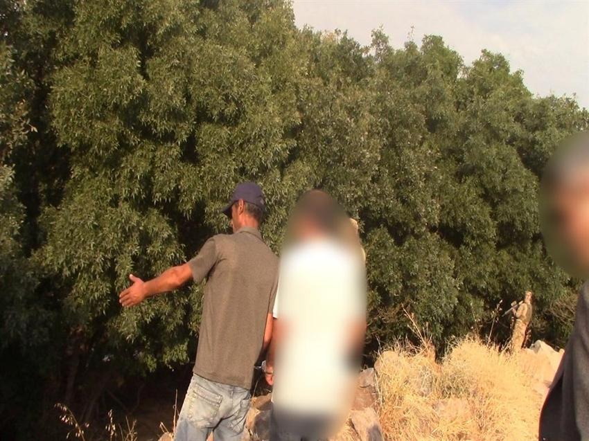  Narin Güran cinayeti davasında mahkemeden yeni hamle! Ulusal Kriminal Büro çözecek 