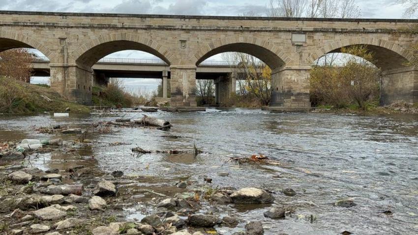 Edirne'de kuraklık alarmı: Tunca Nehri'nde su debisi düştü, canlıların hayatı tehlikede