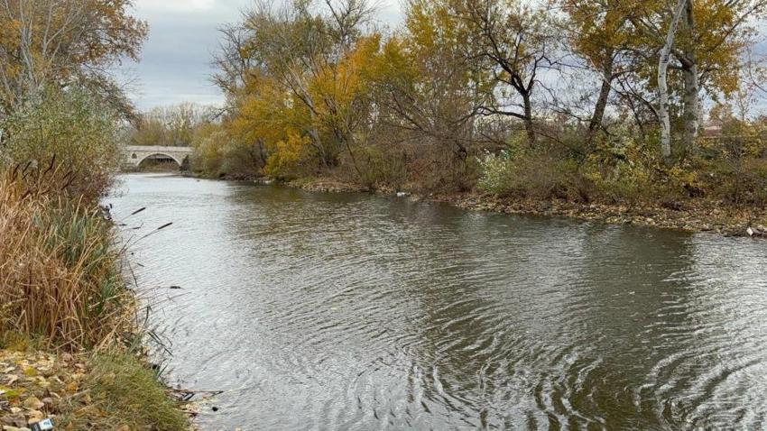Edirne'de kuraklık alarmı: Tunca Nehri'nde su debisi düştü, canlıların hayatı tehlikede