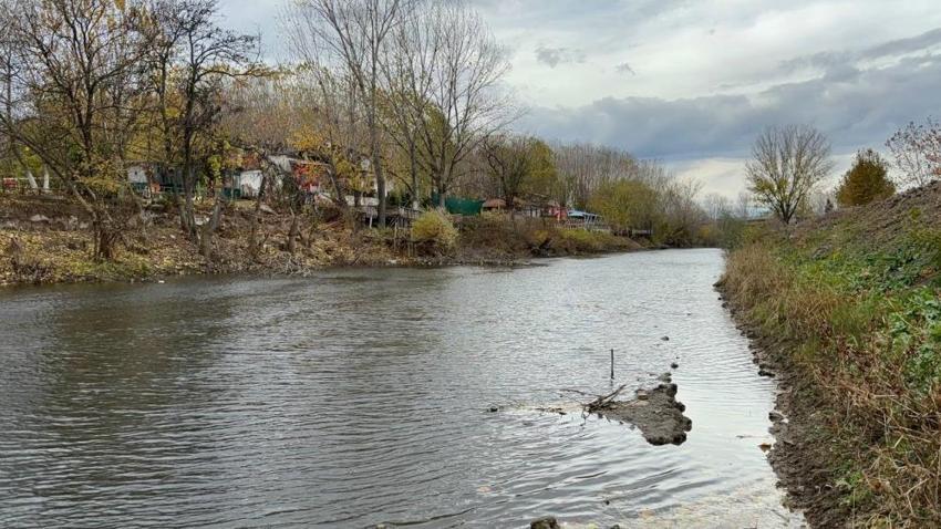 Edirne'de kuraklık alarmı: Tunca Nehri'nde su debisi düştü, canlıların hayatı tehlikede