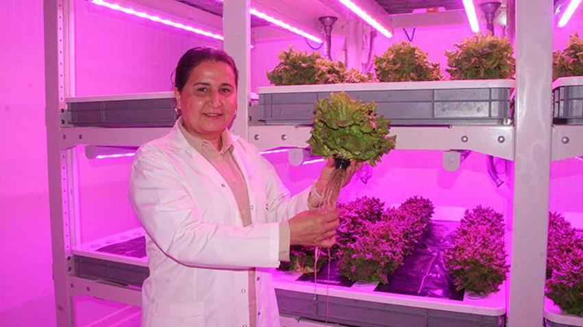 Çukurova Üniversitesi akademisyenleri geliştirdi: Afetlere ve iklim değişikliğine karşı bitki fabrikaları!
