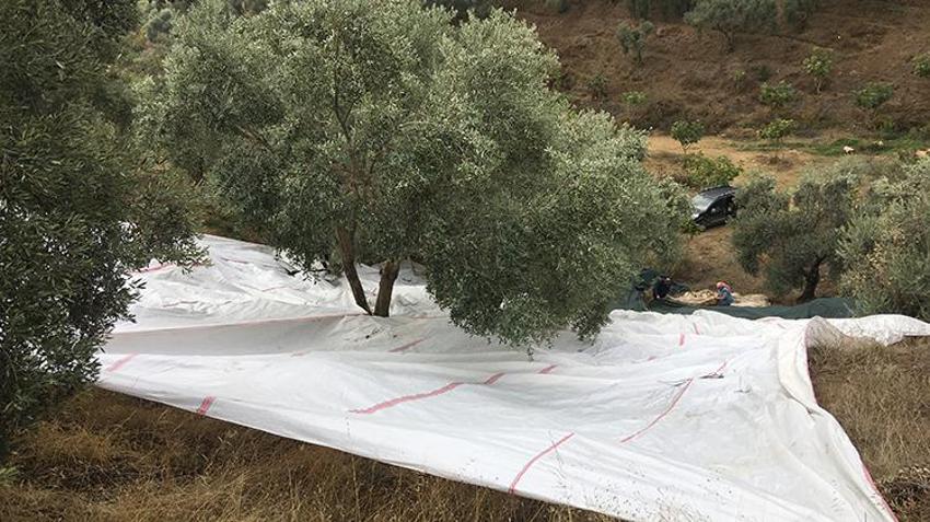 Günlük 3 bin lira yevmiye ile çalışacak eleman bulamıyorlar!