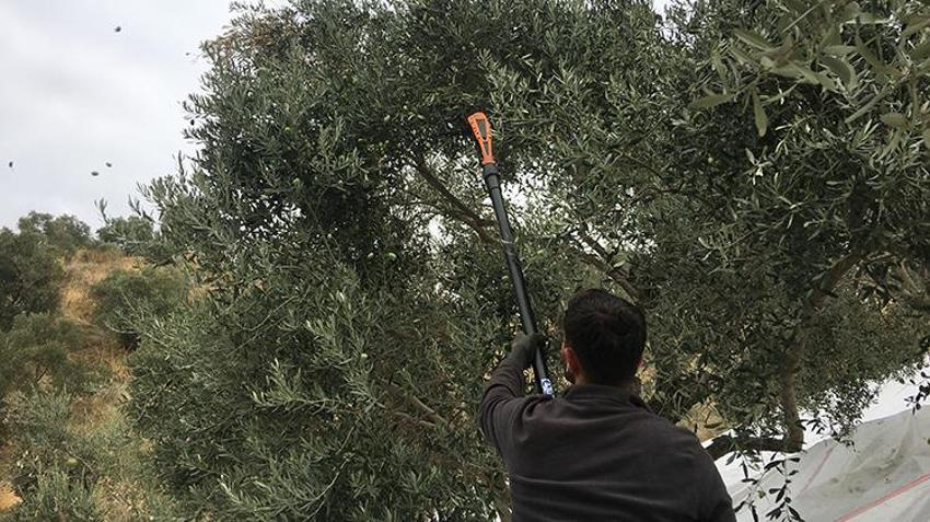 Günlük 3 bin lira yevmiye ile çalışacak eleman bulamıyorlar!