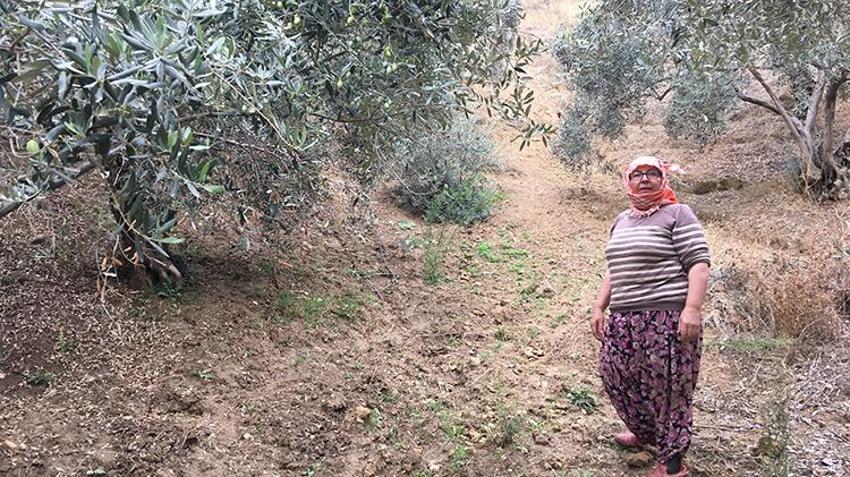 Günlük 3 bin lira yevmiye ile çalışacak eleman bulamıyorlar!
