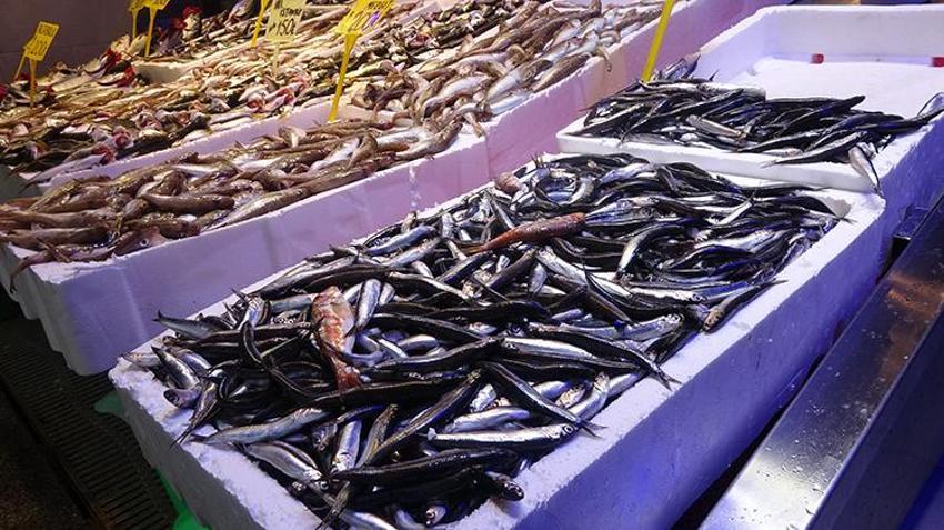 Fiyatlar ikiye katlandı! Hamsiyi soğuk hava vurdu, yerini istavrit aldı 