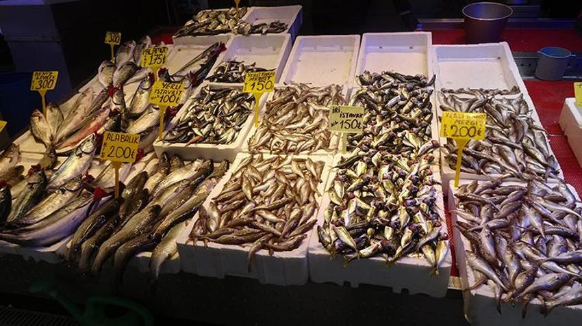 Fiyatlar ikiye katlandı! Hamsiyi soğuk hava vurdu, yerini istavrit aldı 