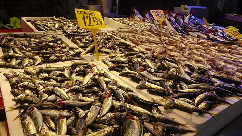 Fiyatlar ikiye katlandı! Hamsiyi soğuk hava vurdu, yerini istavrit aldı 