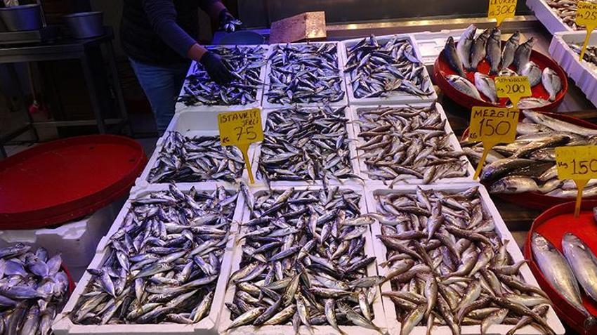 Fiyatlar ikiye katlandı! Hamsiyi soğuk hava vurdu, yerini istavrit aldı 