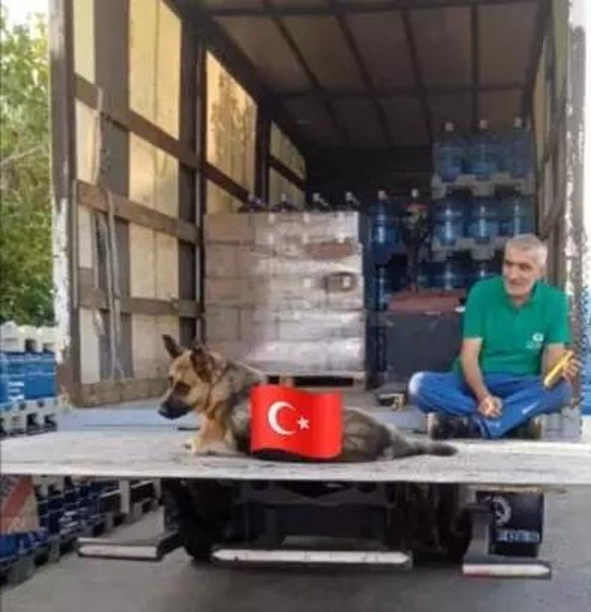 Ölüm üçgenini 3 saatte kurdu! İlçe ilçe dolaştı, 3 saatte katliam yaptı!

