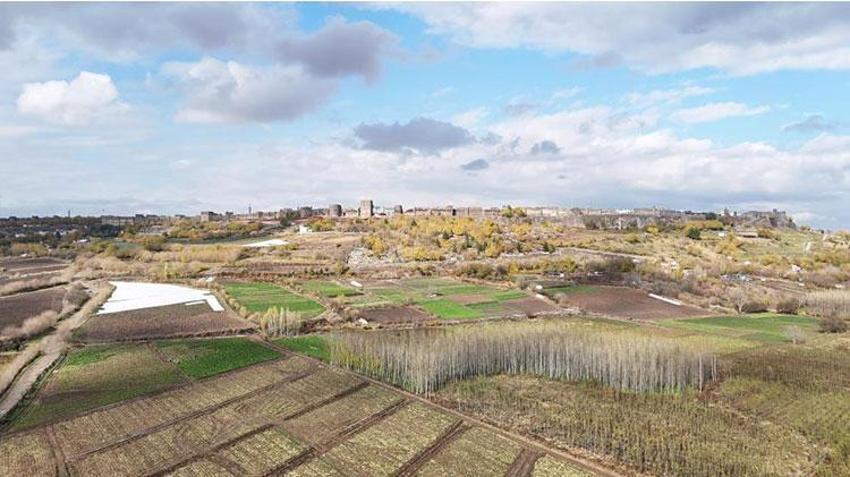 Hevsel Bahçeleri'nde sezonun son hasadı yapılıyor