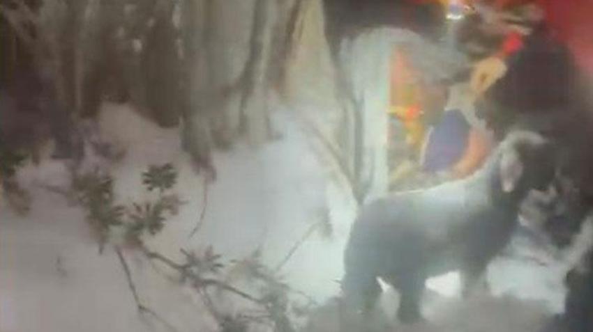 Antalya'da yayladan gelen yaşlı çift karda mahsur kaldı! AFAD kurtarmaya gittiğinde kadın tavuk ve kuzularına sarılmıştı