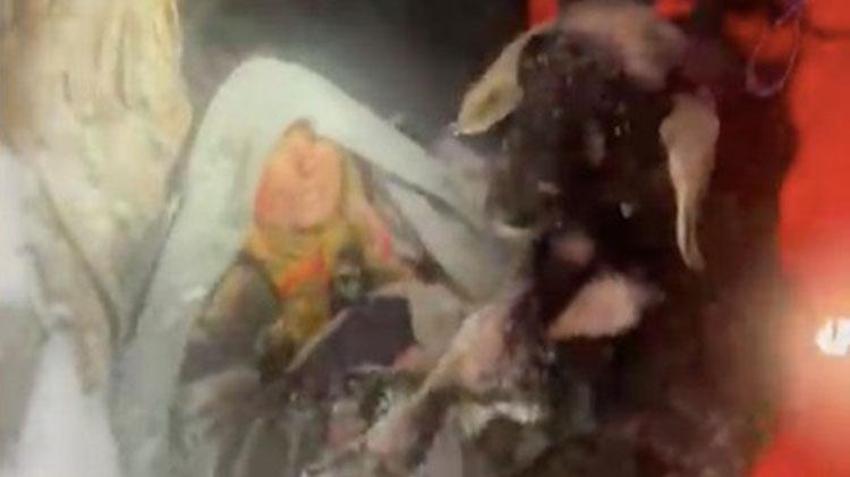 Antalya'da yayladan gelen yaşlı çift karda mahsur kaldı! AFAD kurtarmaya gittiğinde kadın tavuk ve kuzularına sarılmıştı