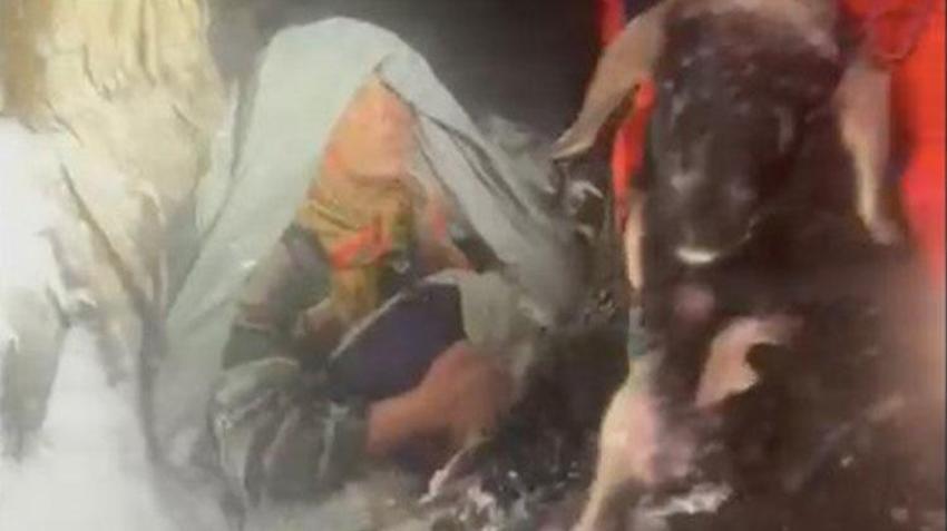 Antalya'da yayladan gelen yaşlı çift karda mahsur kaldı! AFAD kurtarmaya gittiğinde kadın tavuk ve kuzularına sarılmıştı