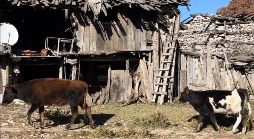 Köylüler terk edince doğa severler akın etti! Isparta'da bir miras ortaya çıktı