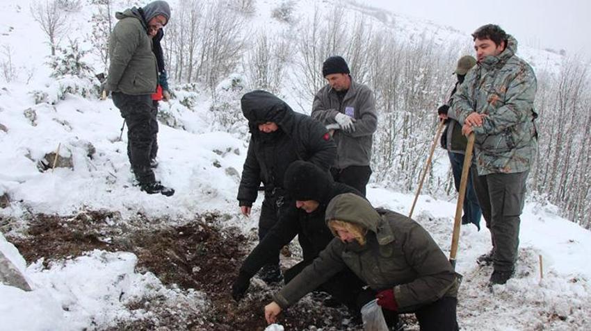 Amasya Lalesi 132 yıl sonra yeniden ait olduğu topraklara ekildi