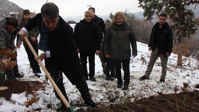 Amasya Lalesi 132 yıl sonra yeniden ait olduğu topraklara ekildi