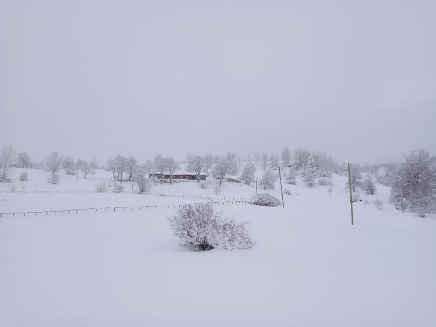 Doğu'da yoğun kar yağışı hayatı olumsuz etkiledi! Köylülerin kar temizleme mesaisi başladı