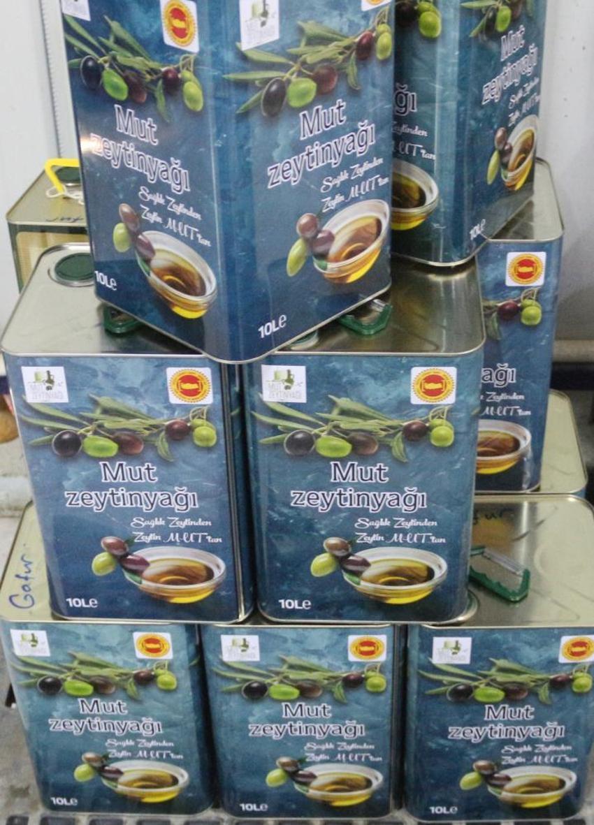 Zeytinyağı üretiminin yüzde 20'sinin karşılandığı Mersin'de hasat zamanı! Verim arttı, fiyatlar düştü