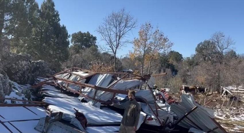 Antalya'da ineklerinin ahırı belediye tarafından yıkıldı, ineklerine mağarada bakmaya başladı