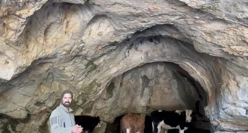 Antalya'da ineklerinin ahırı belediye tarafından yıkıldı, ineklerine mağarada bakmaya başladı