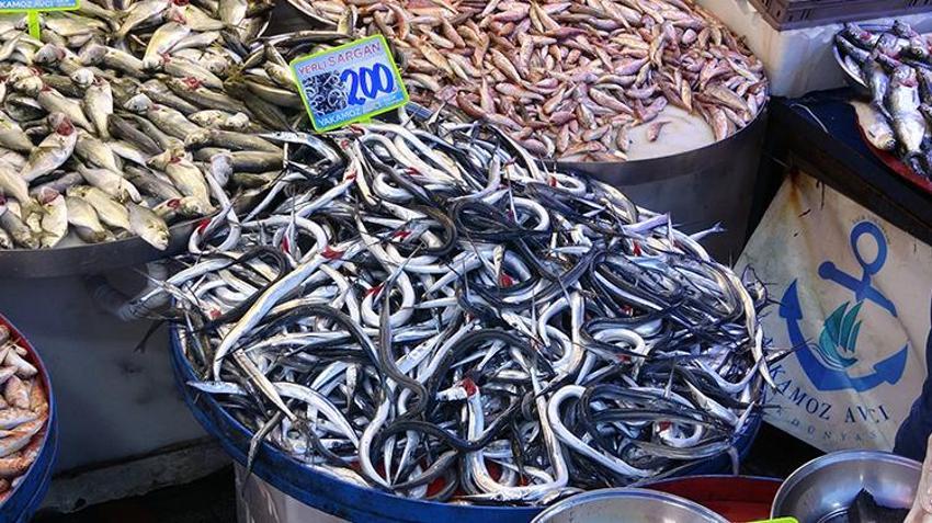 Karadeniz'de havalar soğudu, balık çeşitliliği arttı hamsi 100 liraya düştü