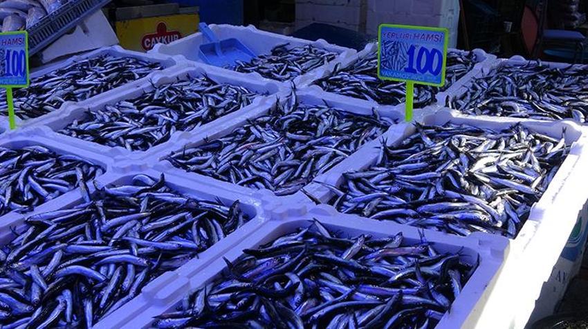 Karadeniz'de havalar soğudu, balık çeşitliliği arttı hamsi 100 liraya düştü