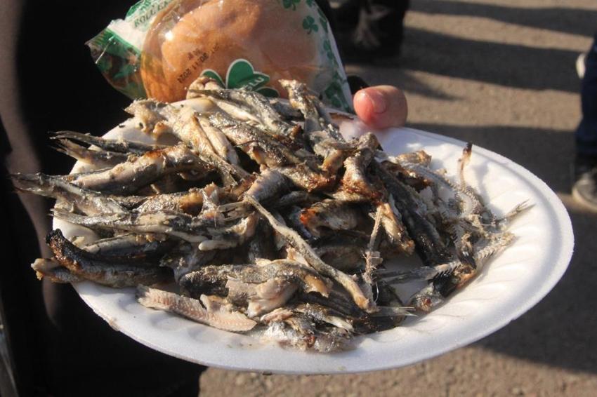Ordu'da gerçekleştirilen 'Hamsi Festivali'nde 10 ton hamsi tüketildi