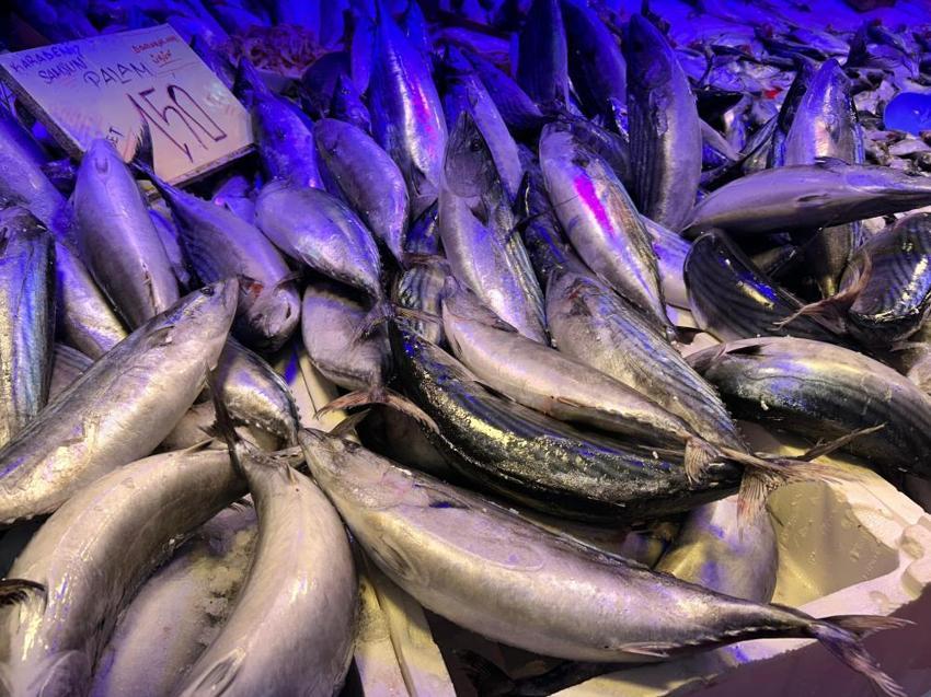 Soğuk havalar balığa talebi arttırdı: Fiyatları 250 ile 300 lira arasında değişiyor