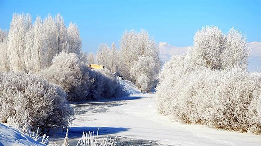 Lapa lapa kar yağışı batıya ilerliyor, 15 yıldır böylesi görülmedi! Dondurucu soğuk bastıracak, kar günlerce yerde kalacak 