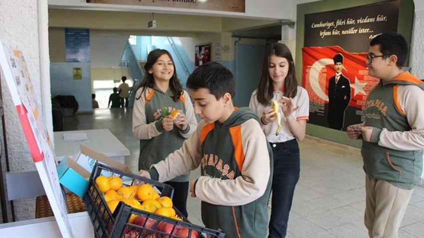 Amasya'da okulda açılan güven manavının kasası hiç açık vermedi