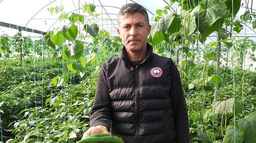 Türkiye'nin en acı biberi doğal yollarla zayıflamanın sırrı! Metabolizmayı hızlandırıyor, faydaları saymakla bitmez