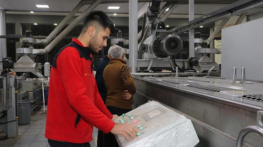 Kahramanmaraş'ta zeytin hasadı başladı! 24 bin 700 ton zeytin rekoltesi bekleniyor