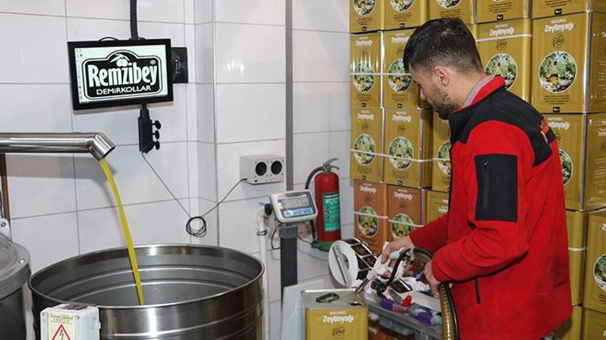 Kahramanmaraş'ta zeytin hasadı başladı! 24 bin 700 ton zeytin rekoltesi bekleniyor