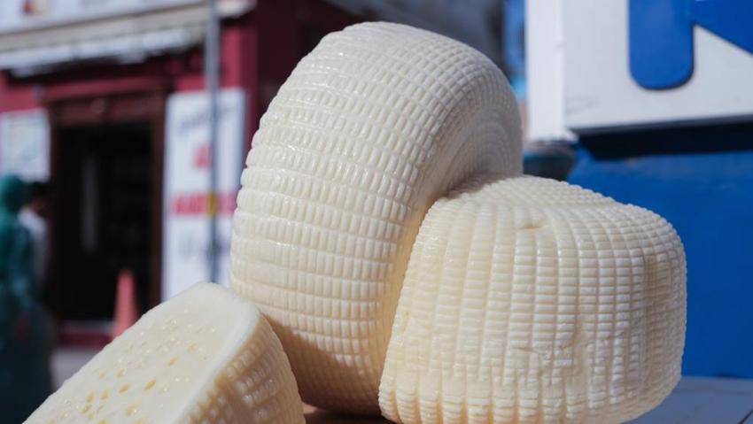 Balıkesir'in sepet - kelle peyniri coğrafi işaretli tescil aldı