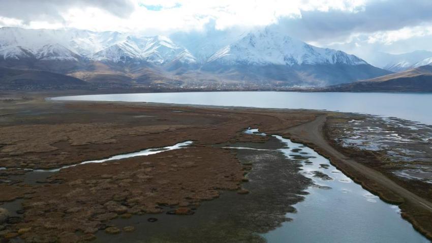 Van'da Dilkaya Deltası yok olma tehlikesiyle karşı karşıya!