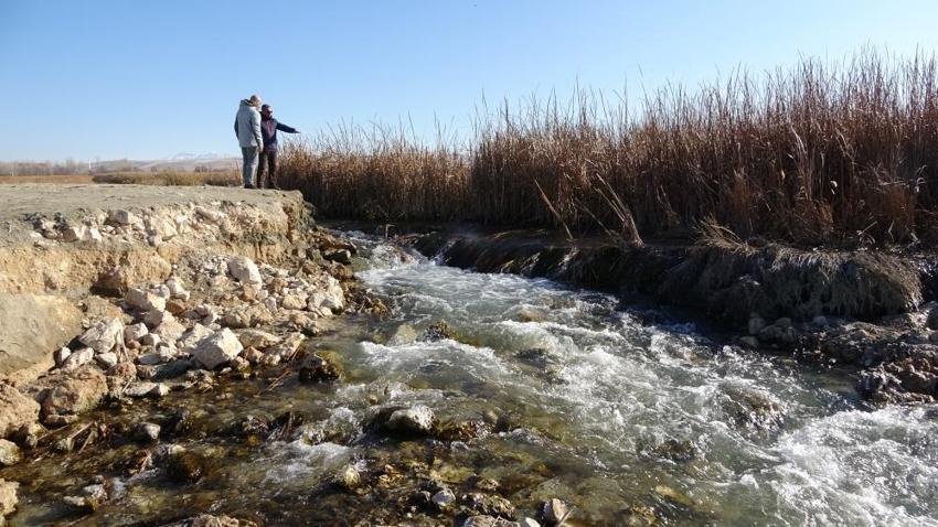 Van'da Dilkaya Deltası yok olma tehlikesiyle karşı karşıya!