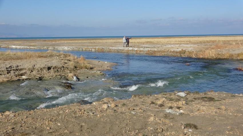 Van'da Dilkaya Deltası yok olma tehlikesiyle karşı karşıya!