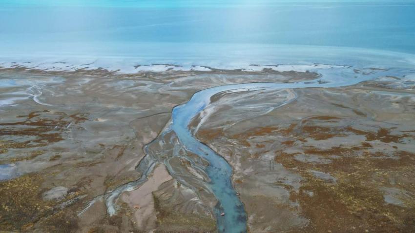 Van'da Dilkaya Deltası yok olma tehlikesiyle karşı karşıya!