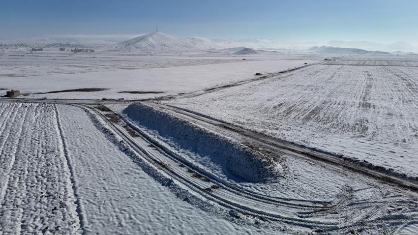 Sivas'ta 60 bin ton şeker pancar kar altında kaldı! Çiftçi mağdur
