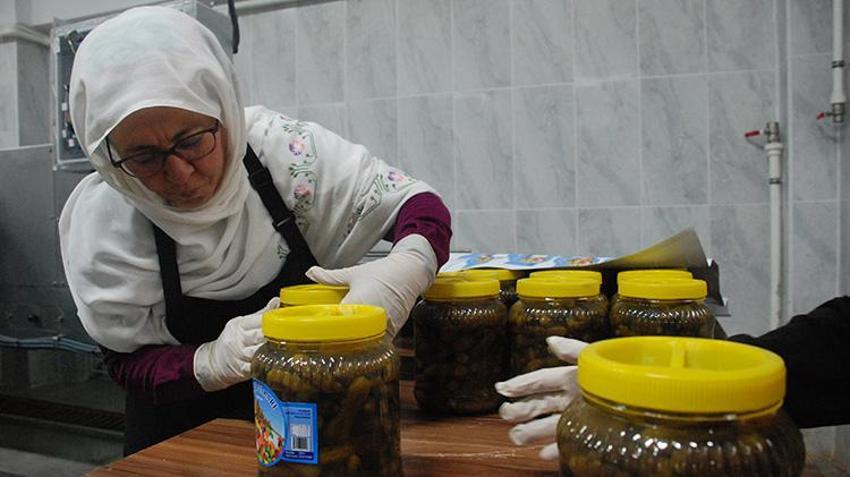 Toprağın bereketi sofralarda projesiyle fabrikalarda üretilen turşular yurt içinde pazarlanıyor