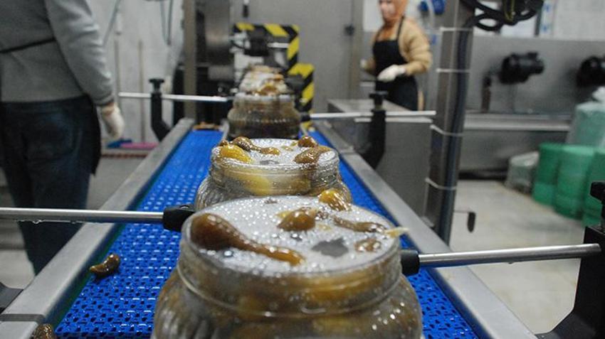 Toprağın bereketi sofralarda projesiyle fabrikalarda üretilen turşular yurt içinde pazarlanıyor