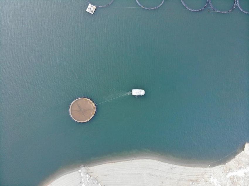 Denize kıyısı olmayan Gümüşhane'den 70 bin ton somon ihracatı