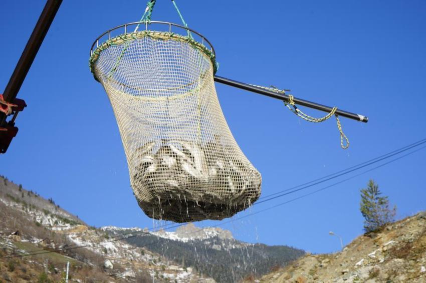 Denize kıyısı olmayan Gümüşhane'den 70 bin ton somon ihracatı